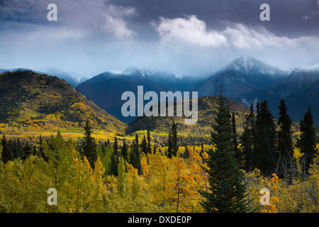 Couleurs d'automne et les jeunes Peak, British Columbia, Canada Banque D'Images