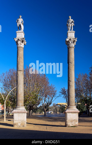 Colonnes romaines, Alameda de Hercules, promenade, Séville, Andalousie, Espagne, Europe Banque D'Images