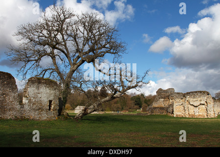 Waverley Abbey ruins Banque D'Images