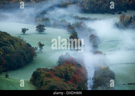 Couleurs d'automne et de la brume dans la vallée de la Dee (Dyffryn Dyfrdwy) près de Llangollen, Denbighshire, Wales Banque D'Images