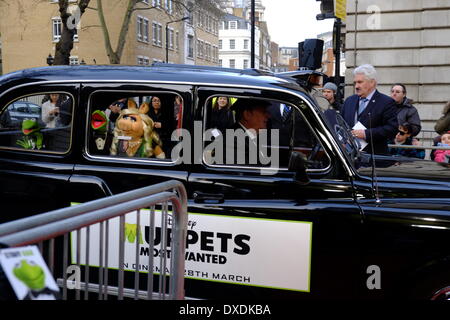 Mayfair, London, UK . 24Th Mar, 2014. Constantine, Kermit et Miss Piggy arriver par Black Cab. Les stars de 'Muppets Most Wanted' arrivent à l'Curzon Cinema à Mayfair pour un dépistage VIP. Megawhat Crédit : Rachel/Alamy Live News Banque D'Images