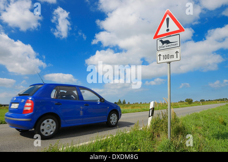 Voiture sur route et Otter Crossing Sign, Fischland-Darss-Zingst, Mecklembourg-Poméranie-Occidentale, Allemagne Banque D'Images