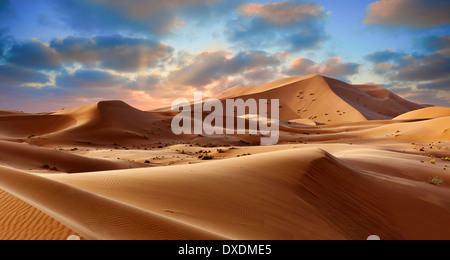 Sahara dunes de l'erg Chebbi, Maroc, Afrique Banque D'Images