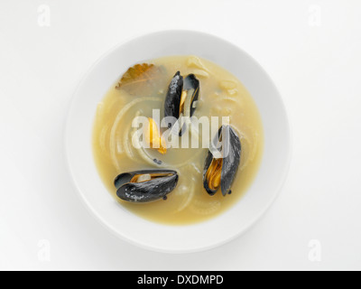 Vue aérienne de moules dans le bouillon, Studio Shot Banque D'Images