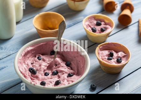 La crème glacée faite maison avec du yogourt aux bleuets Banque D'Images