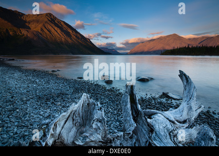 À l'aube du lac Kathleen, Réserve de parc national Kluane, Yukon, Canada Banque D'Images