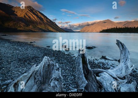 À l'aube du lac Kathleen, Réserve de parc national Kluane, Yukon, Canada Banque D'Images