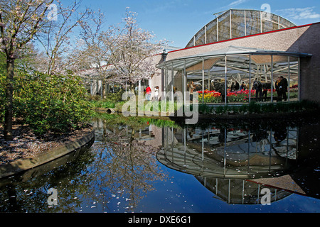 Flower show à Willem-Alexander pavilion, Keukenhof, Lisse, Pays-Bas / Banque D'Images