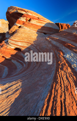 Vallée de Feu Park, Nevada, USA Banque D'Images