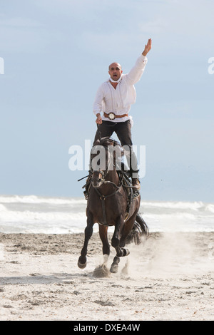 Cheval Espagnol pur, andalou. L'exécution d'une Stunt-Man stunt sur une plage. Roumanie Banque D'Images