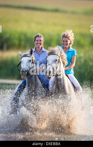 Ootmarsum poney. Deux coureurs sur juments gris galopant à travers l'eau. L'Afrique du Sud Banque D'Images