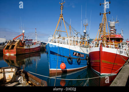 Frazerburgh Harbour, dans l'Aberdeenshire, N/E de l'Écosse. Banque D'Images