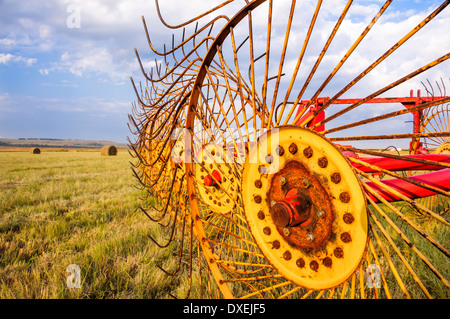 Star agricole roues hay rake machine à couper de l'herbe pour des balles sur une ferme moderne dans un paysage Banque D'Images