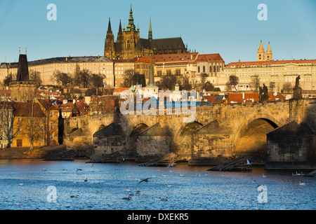 Le quartier du château, Habour et le Pont Charles avec des cygnes sur la rivière Vltava, Prague, République Tchèque Banque D'Images