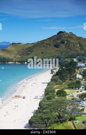 Hahei Beach, péninsule de Coromandel, île du Nord, Nouvelle-Zélande Banque D'Images