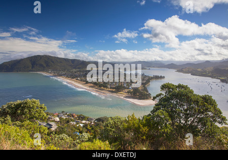 Avis de Pauanui de Mont Paku, Tairua, péninsule de Coromandel, île du Nord, Nouvelle-Zélande Banque D'Images