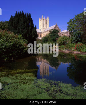 La cathédrale de Wells, Somerset. Banque D'Images