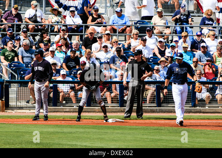 Membre de l'NY Yankee joue les Rays de Tampa Bay FL Banque D'Images