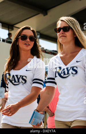 Rays de Tampa Bay filles promotionnels à pied autour de l'appui de tambourinage en Floride pendant un match à domicile V l'NY Yankee's Banque D'Images