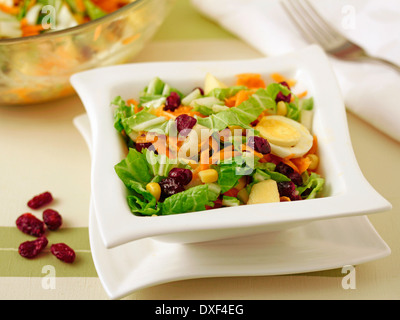 Salade de chou chinois avec des canneberges. Recette disponible.e. Banque D'Images