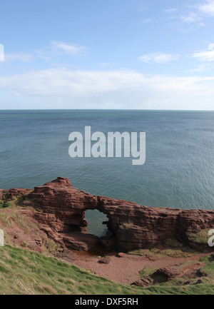 Aiguille de e'e rock arch dans le grès rouge des falaises seaton angus scotland mars 2014 Banque D'Images