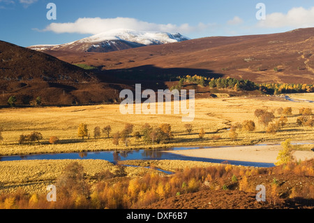 La rivière Dee près de Braemar en automne, Aberdeenshire, Scotland, UK. Banque D'Images