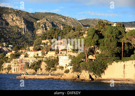 Le Cap Ferrat sur la côte d'Azur Banque D'Images