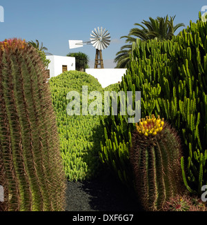 Un jardin de cactus et de la pompe du vent à Fuerteventura dans les îles Canaries, Espagne. Banque D'Images
