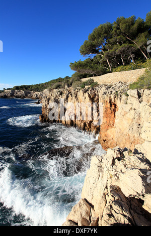 Le Cap d'Antibes sur la côte d'Azur Banque D'Images