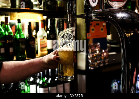 Une pinte de Peroni est versé par bar travailleur. Banque D'Images