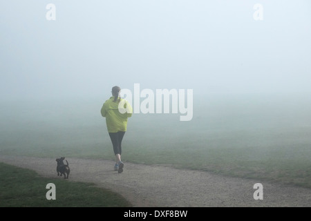 Une femme et son petit chien traverse un épais brouillard dans l'Essex, bois. Banque D'Images