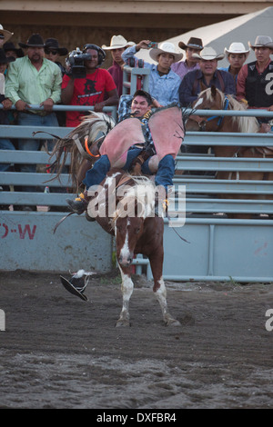 Un Native American cowboy rides dans la Selle Bronc événement à la réserve Tsuu T'ina Indian Rodeo à Bragg Creek à l'ouest de Calgary, Alberta. Banque D'Images