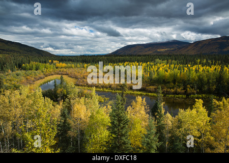 Couleurs d'automne de la forêt boréale dans la rivière Stewart Valley, Territoire du Yukon, Canada Banque D'Images