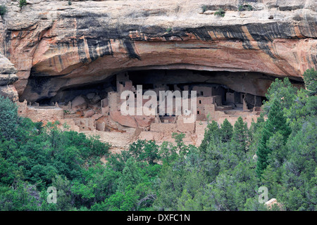 Cliff Palace, falaise d'habitation les Indiens d'Amérique, environ 800 ans, le Parc National de Mesa Verde, Colorado, USA Banque D'Images