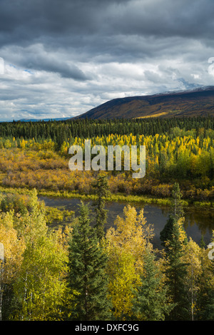 Couleurs d'automne de la forêt boréale dans la rivière Stewart Valley, Territoire du Yukon, Canada Banque D'Images