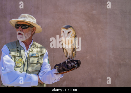 Un homme avec des bénévoles du zoo effraie des clochers de l'afficher pour les visiteurs de l'Arizona - Sonora Desert Museum, Tucson, Arizona. Banque D'Images
