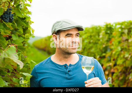 Close-up de vigneron debout dans vignoble, tenant un verre de vin et de l'examen de la qualité, Rhénanie-Palatinat, Allemagne Banque D'Images