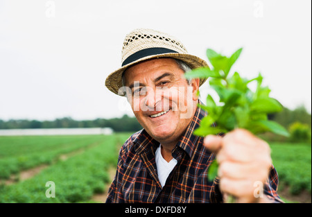 Close-up portrait of farmer standing in field holding plant, smiling and looking at camera, Hesse, Allemagne Banque D'Images