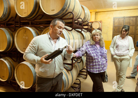 Le propriétaire d'un établissement vinicole espagnol parler aux touristes une visite guidée sur la fabrication du vin, vignoble Perfer, Almeria, Andalousie, Espagne Banque D'Images