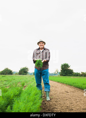 Farmer standing in field, holding plant de récolte, Allemagne Banque D'Images
