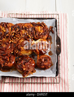 Sticky Buns sur la lèchefrite, studio shot Banque D'Images