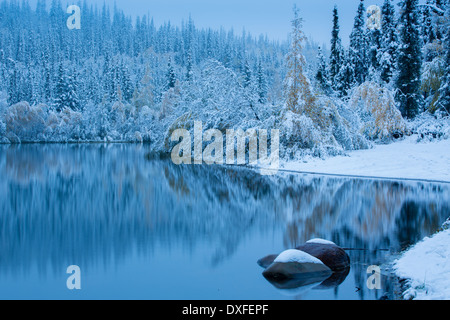 Début de la neige et des couleurs d'automne à Five Mile Lake, sur la piste de l'argent c Mayo, au Yukon, Canada Banque D'Images