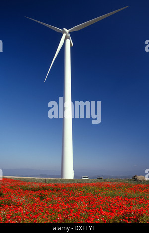 Une éolienne est un dispositif qui convertit l'énergie cinétique du vent en énergie mécanique pour produire de l'électricité. Banque D'Images