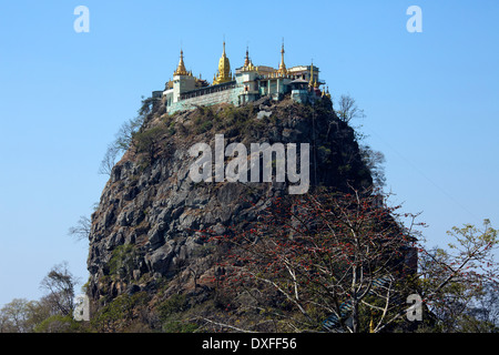 Mont Popa - Myanmar - Birmanie Banque D'Images