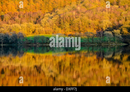 Réflexions sur l'eau soirée Coniston dans le Lake District Banque D'Images