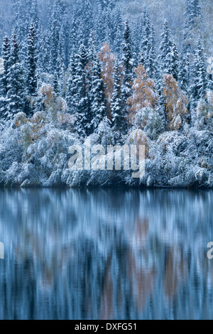 Couleurs d'automne et la première chute de neige à Five Mile Lake. Silver Trail, Territoire du Yukon, Canada Banque D'Images