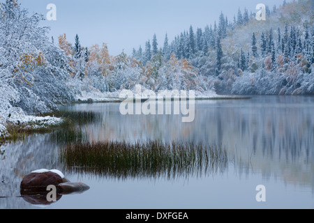 Début de la neige et des couleurs d'automne à Five Mile Lake, sur la piste de l'argent c Mayo, au Yukon, Canada Banque D'Images