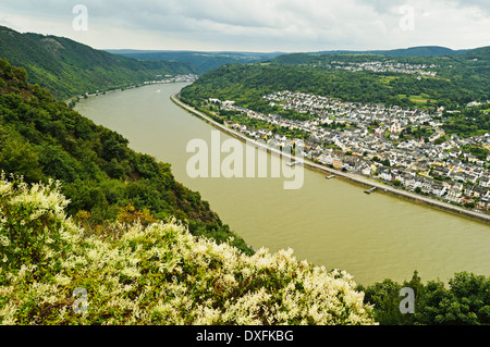 Bad Salzig et du Rhin, Rhénanie-Palatinat, Allemagne Banque D'Images