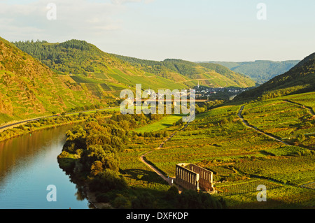 Calmont Vignobles, Stuben couvent augustinien et Moselle, Rhénanie-Palatinat, Allemagne Banque D'Images