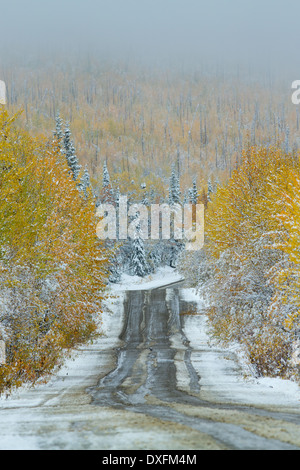 Couleurs d'automne et la première chute de neige sur la route de Keno, piste de l'argent, les Territoires du Yukon, Canada Banque D'Images